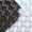 Poster Print Poster Print